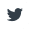Twitter icon